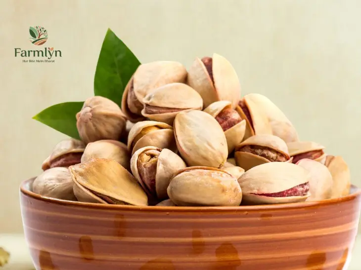 Farmlyn Premium California Roasted & Salted Pistachios – 200g